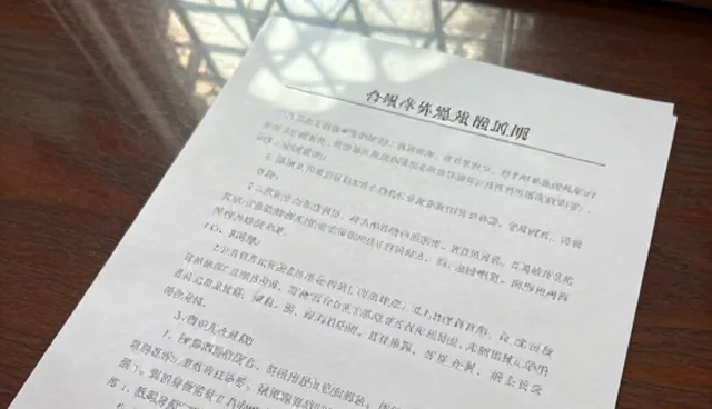 商务信息咨询：检查要点分析与发展趋势