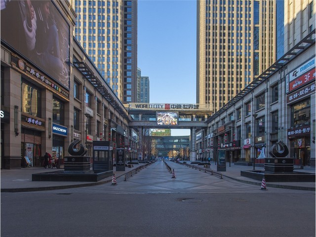 工厂园林绿化养护业务咨询